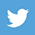 Logo Twitter